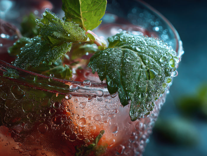 <h2><span style="text-decoration:underline">Our Story</span></h2>